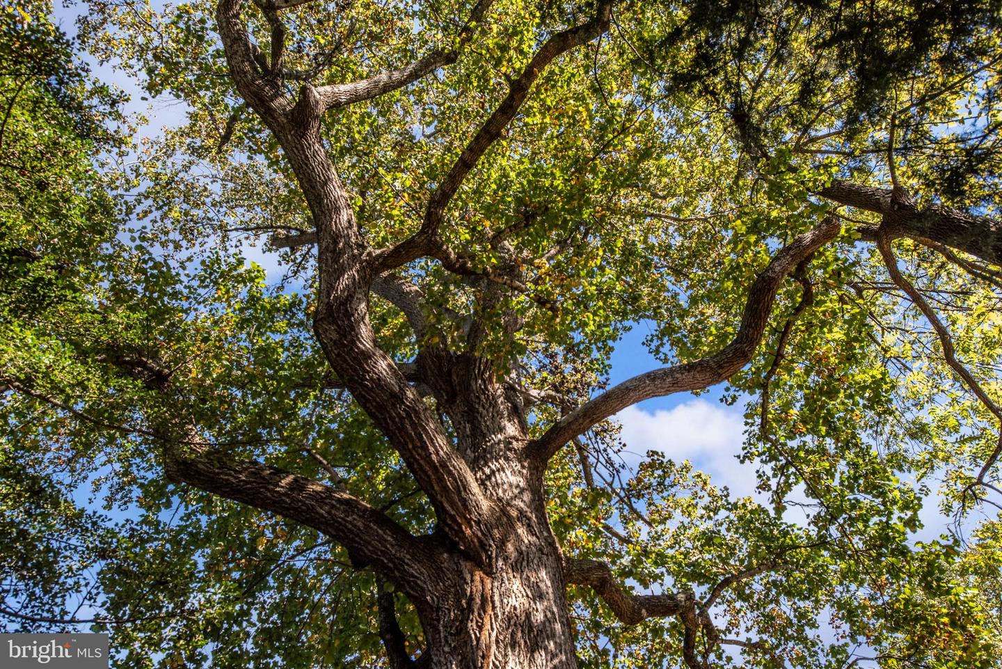 8518 TOMPKINS DR, KING GEORGE, Virginia 22485, 3 Bedrooms Bedrooms, ,2 BathroomsBathrooms,Residential,For sale,8518 TOMPKINS DR,VAKG2007232 MLS # VAKG2007232 8518 TOMPKINS DR, KING GEORGE, Virginia 22485, 3 Bedrooms Bedrooms, ,2 BathroomsBathrooms,Residential,For sale,8518 TOMPKINS DR,VAKG2007232 MLS # VAKG2007232