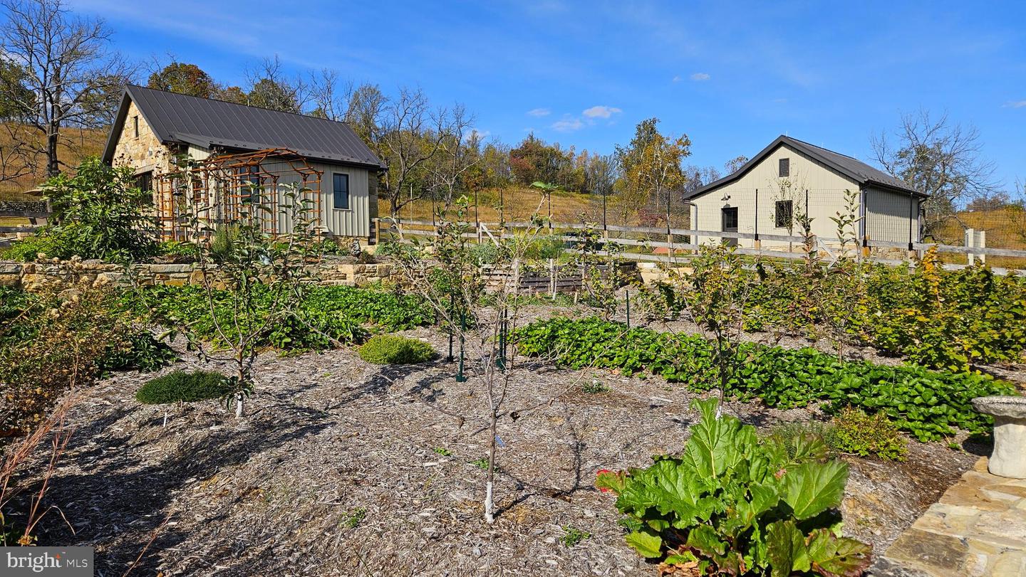 63 RILEY HOLLOW RD, HUNTLY, Virginia 22640, 2 Bedrooms Bedrooms, 7 Rooms Rooms,2 BathroomsBathrooms,Residential,For sale,63 RILEY HOLLOW RD,VARP2002376 MLS # VARP2002376