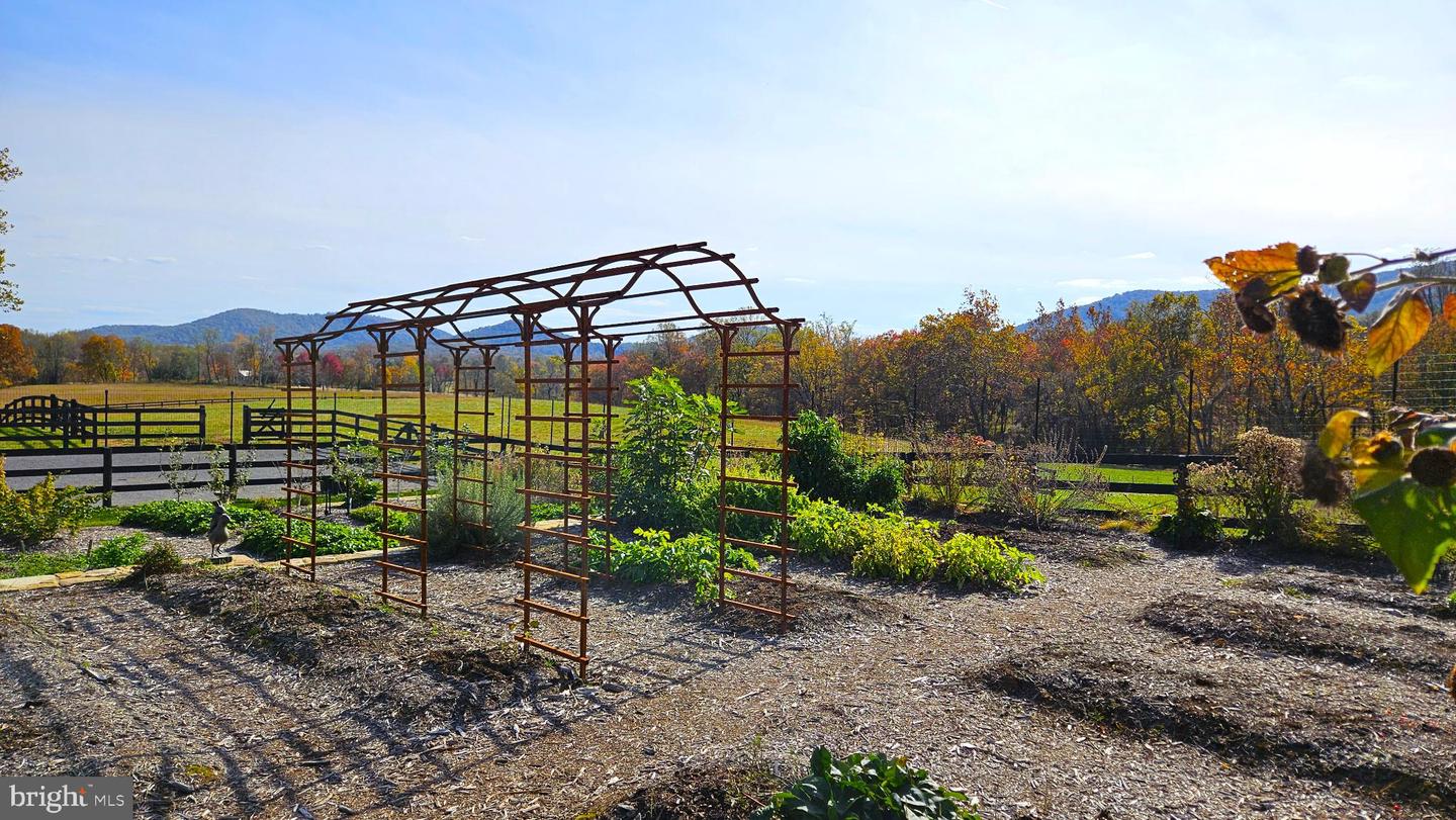 63 RILEY HOLLOW RD, HUNTLY, Virginia 22640, 2 Bedrooms Bedrooms, 7 Rooms Rooms,2 BathroomsBathrooms,Residential,For sale,63 RILEY HOLLOW RD,VARP2002376 MLS # VARP2002376