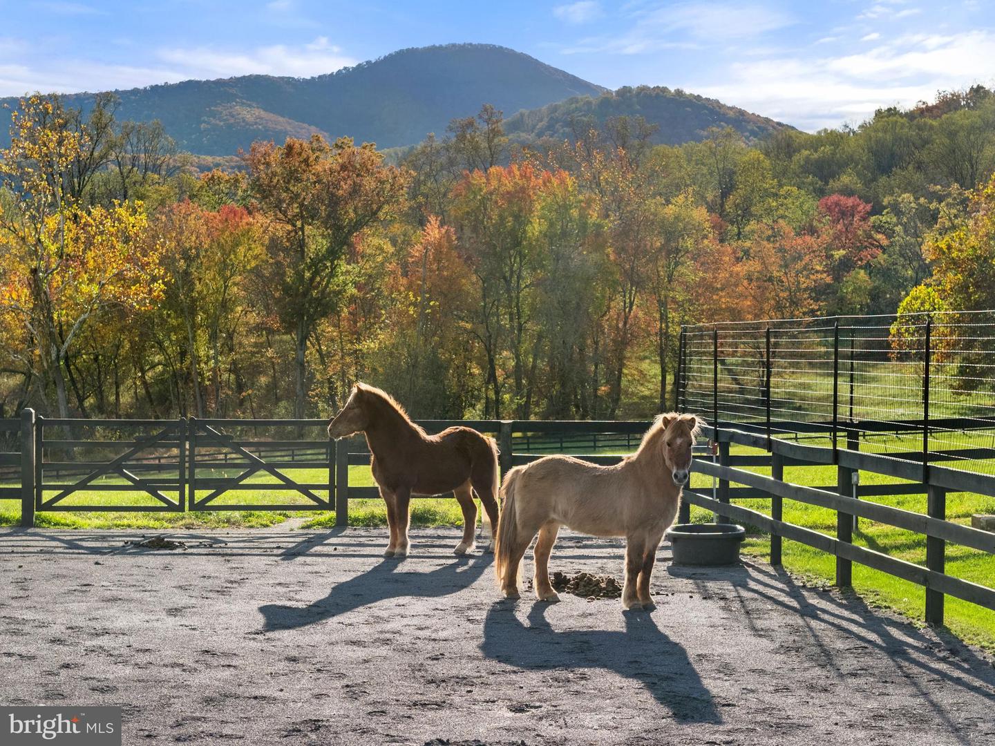 63 RILEY HOLLOW RD, HUNTLY, Virginia 22640, 2 Bedrooms Bedrooms, 7 Rooms Rooms,2 BathroomsBathrooms,Residential,For sale,63 RILEY HOLLOW RD,VARP2002376 MLS # VARP2002376