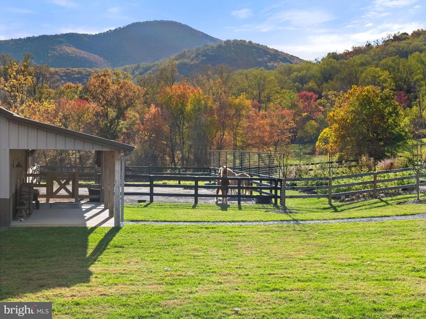 63 RILEY HOLLOW RD, HUNTLY, Virginia 22640, 2 Bedrooms Bedrooms, 7 Rooms Rooms,2 BathroomsBathrooms,Residential,For sale,63 RILEY HOLLOW RD,VARP2002376 MLS # VARP2002376