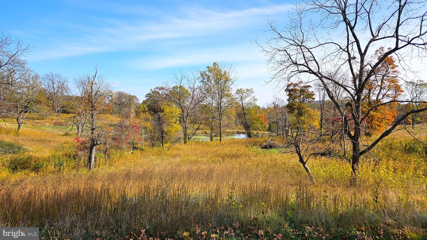 63 RILEY HOLLOW RD, HUNTLY, Virginia 22640, 2 Bedrooms Bedrooms, 7 Rooms Rooms,2 BathroomsBathrooms,Residential,For sale,63 RILEY HOLLOW RD,VARP2002376 MLS # VARP2002376