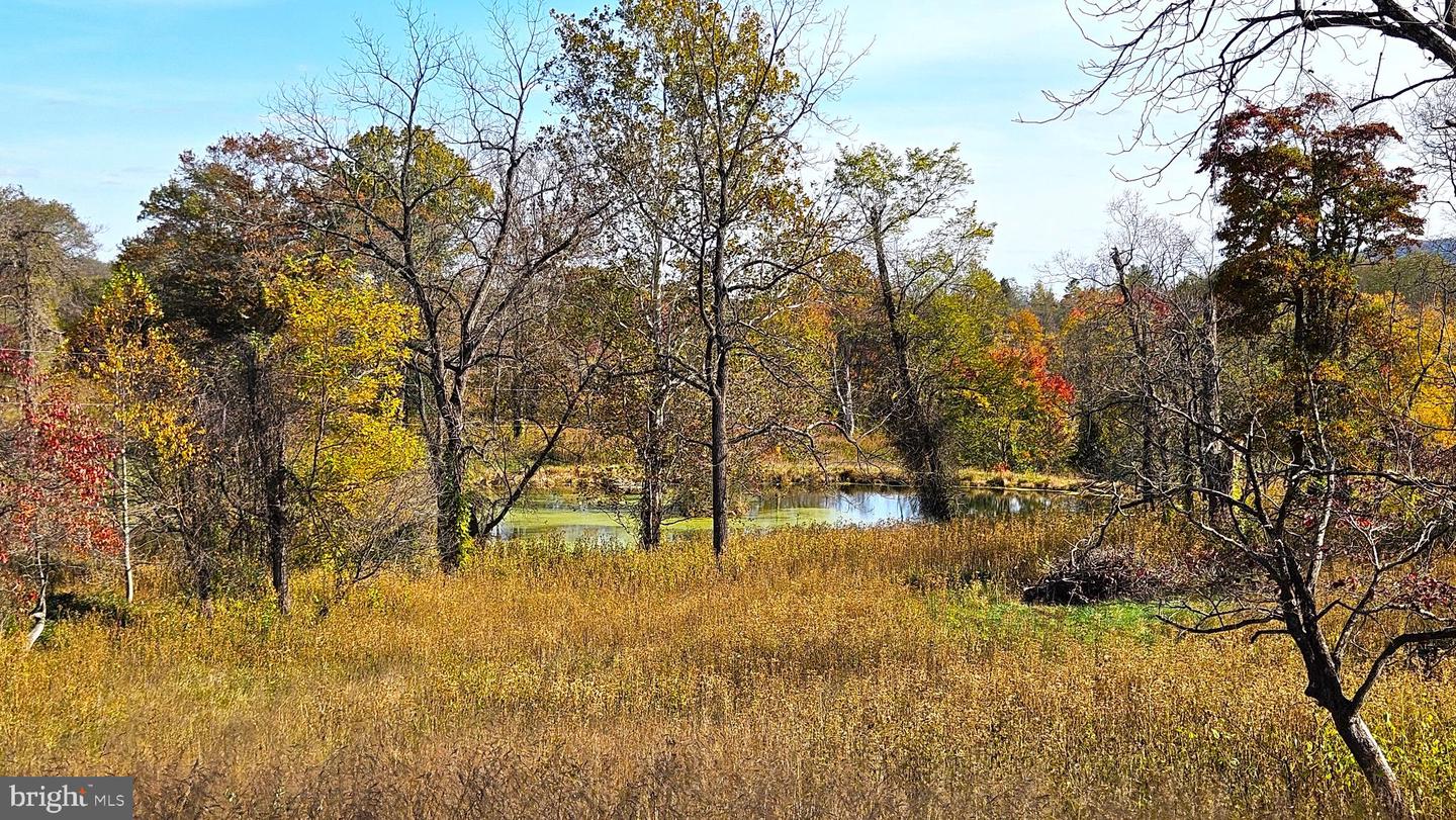 63 RILEY HOLLOW RD, HUNTLY, Virginia 22640, 2 Bedrooms Bedrooms, 7 Rooms Rooms,2 BathroomsBathrooms,Residential,For sale,63 RILEY HOLLOW RD,VARP2002376 MLS # VARP2002376