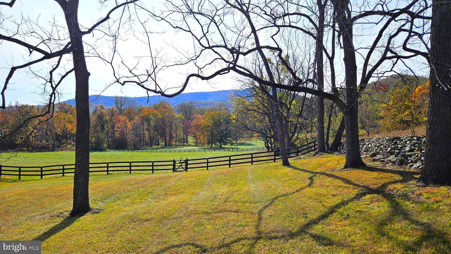 63 RILEY HOLLOW RD, HUNTLY, Virginia 22640, 2 Bedrooms Bedrooms, 7 Rooms Rooms,2 BathroomsBathrooms,Residential,For sale,63 RILEY HOLLOW RD,VARP2002376 MLS # VARP2002376