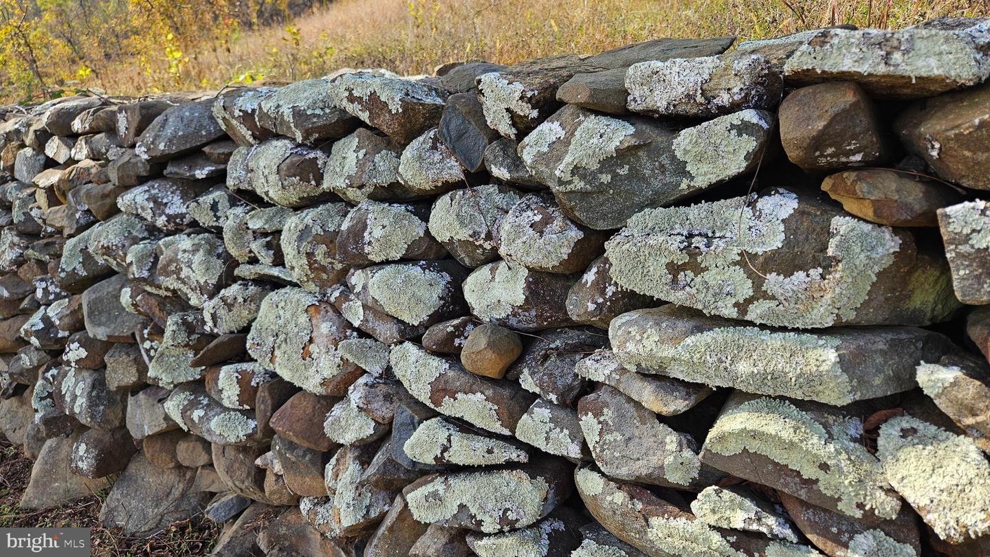 63 RILEY HOLLOW RD, HUNTLY, Virginia 22640, 2 Bedrooms Bedrooms, 7 Rooms Rooms,2 BathroomsBathrooms,Residential,For sale,63 RILEY HOLLOW RD,VARP2002376 MLS # VARP2002376