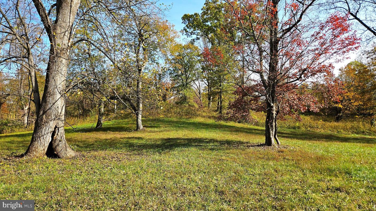 63 RILEY HOLLOW RD, HUNTLY, Virginia 22640, 2 Bedrooms Bedrooms, 7 Rooms Rooms,2 BathroomsBathrooms,Residential,For sale,63 RILEY HOLLOW RD,VARP2002376 MLS # VARP2002376