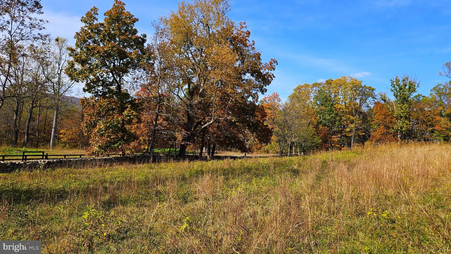 63 RILEY HOLLOW RD, HUNTLY, Virginia 22640, 2 Bedrooms Bedrooms, 7 Rooms Rooms,2 BathroomsBathrooms,Residential,For sale,63 RILEY HOLLOW RD,VARP2002376 MLS # VARP2002376