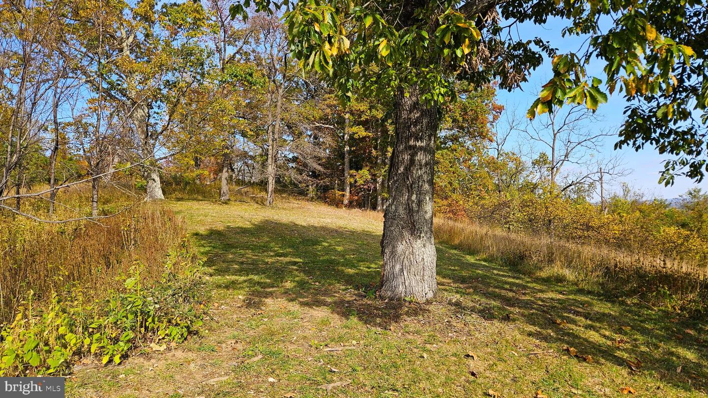 63 RILEY HOLLOW RD, HUNTLY, Virginia 22640, 2 Bedrooms Bedrooms, 7 Rooms Rooms,2 BathroomsBathrooms,Residential,For sale,63 RILEY HOLLOW RD,VARP2002376 MLS # VARP2002376