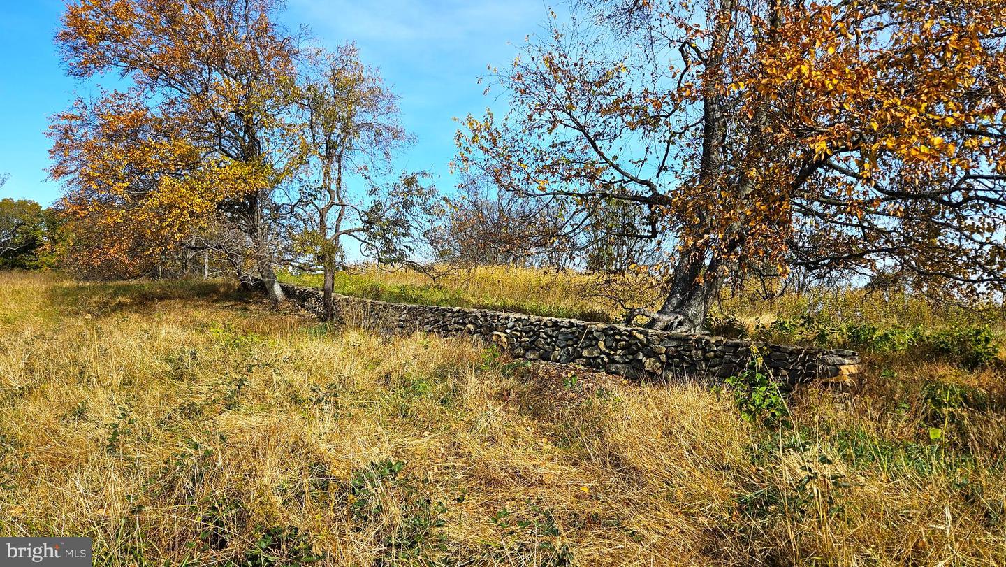 63 RILEY HOLLOW RD, HUNTLY, Virginia 22640, 2 Bedrooms Bedrooms, 7 Rooms Rooms,2 BathroomsBathrooms,Residential,For sale,63 RILEY HOLLOW RD,VARP2002376 MLS # VARP2002376