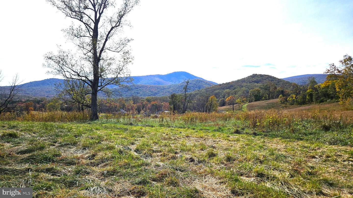 63 RILEY HOLLOW RD, HUNTLY, Virginia 22640, 2 Bedrooms Bedrooms, 7 Rooms Rooms,2 BathroomsBathrooms,Residential,For sale,63 RILEY HOLLOW RD,VARP2002376 MLS # VARP2002376