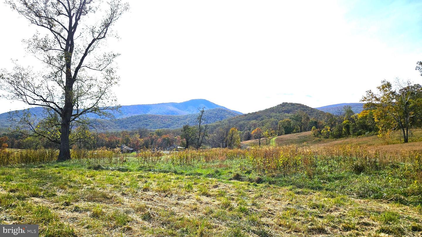 63 RILEY HOLLOW RD, HUNTLY, Virginia 22640, 2 Bedrooms Bedrooms, 7 Rooms Rooms,2 BathroomsBathrooms,Residential,For sale,63 RILEY HOLLOW RD,VARP2002376 MLS # VARP2002376