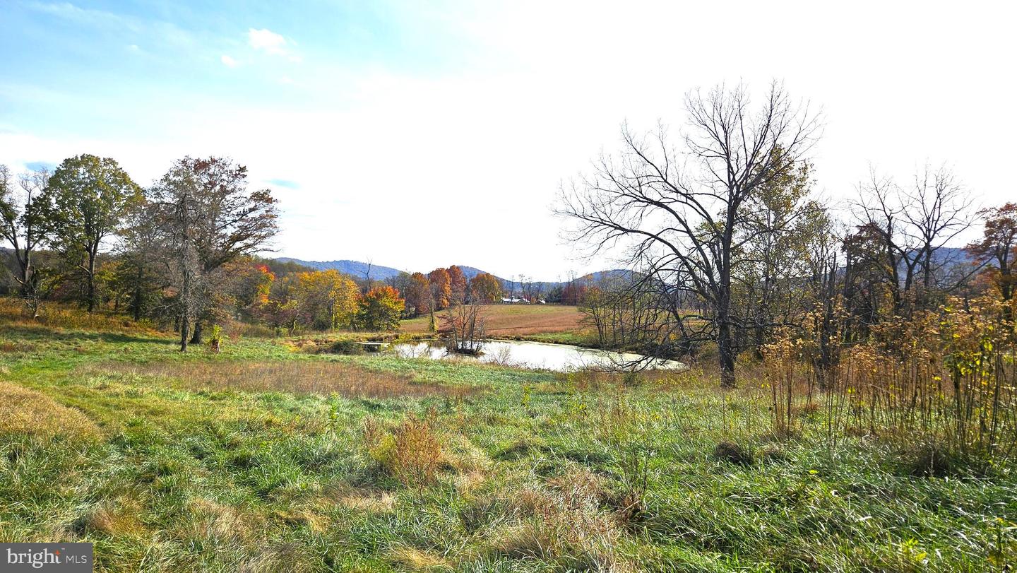 63 RILEY HOLLOW RD, HUNTLY, Virginia 22640, 2 Bedrooms Bedrooms, 7 Rooms Rooms,2 BathroomsBathrooms,Residential,For sale,63 RILEY HOLLOW RD,VARP2002376 MLS # VARP2002376