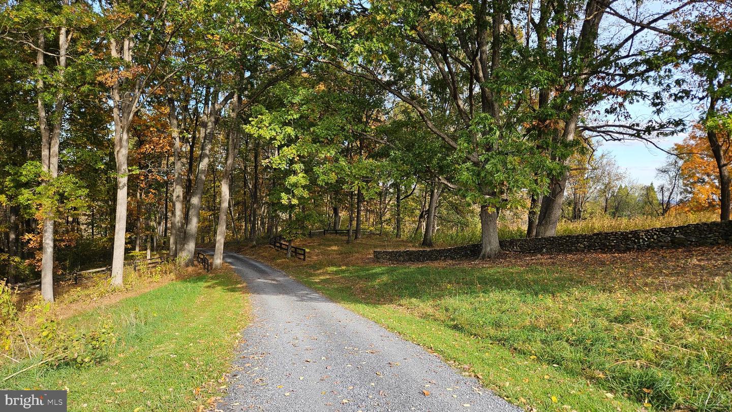 63 RILEY HOLLOW RD, HUNTLY, Virginia 22640, 2 Bedrooms Bedrooms, 7 Rooms Rooms,2 BathroomsBathrooms,Residential,For sale,63 RILEY HOLLOW RD,VARP2002376 MLS # VARP2002376