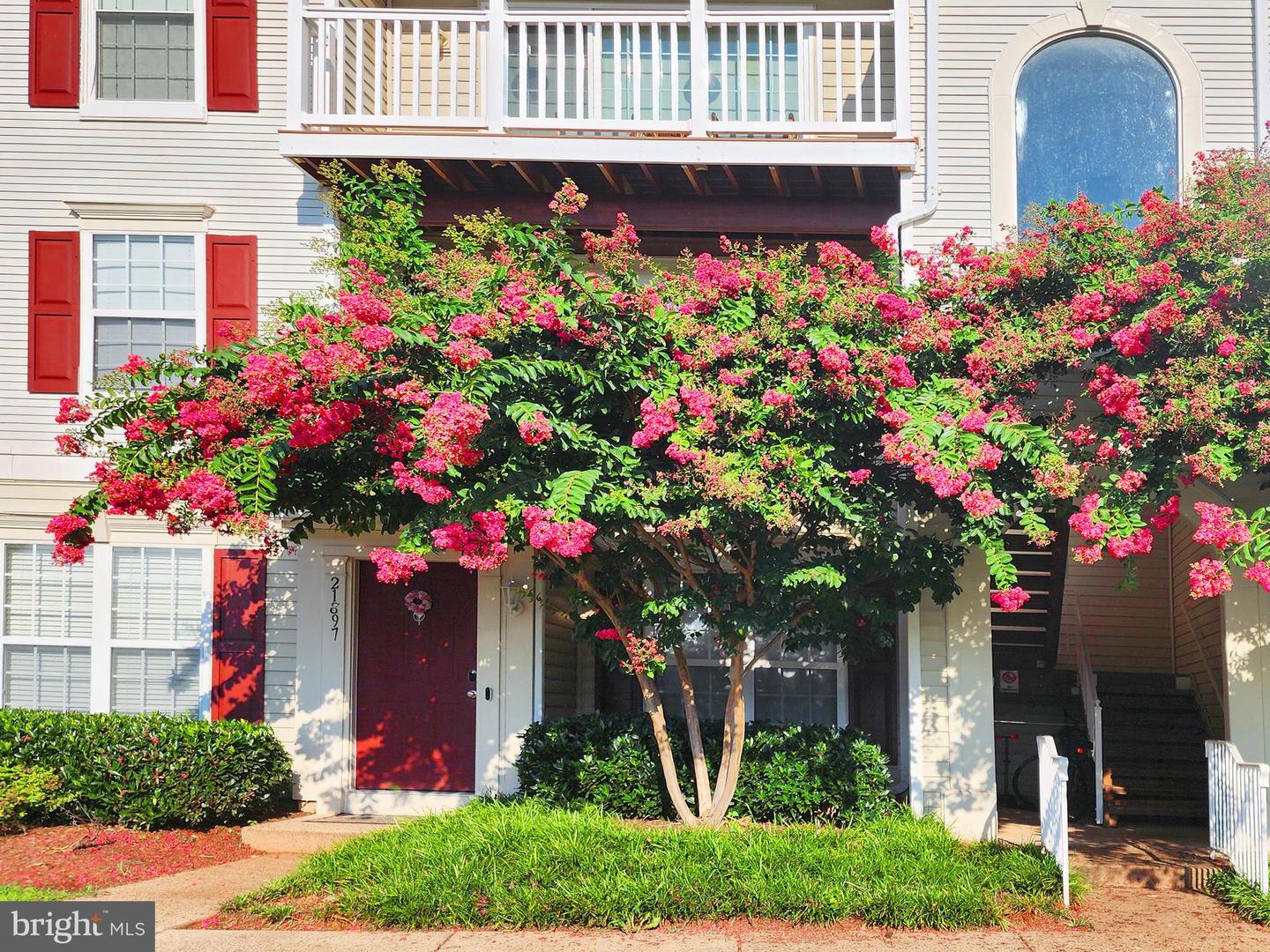 21897 ELKINS TER, STERLING, Virginia 20166, 2 Bedrooms Bedrooms, 5 Rooms Rooms,2 BathroomsBathrooms,Residential,For sale,21897 ELKINS TER,VALO2103944 MLS # VALO2103944 21897 ELKINS TER, STERLING, Virginia 20166, 2 Bedrooms Bedrooms, 5 Rooms Rooms,2 BathroomsBathrooms,Residential,For sale,21897 ELKINS TER,VALO2103944 MLS # VALO2103944