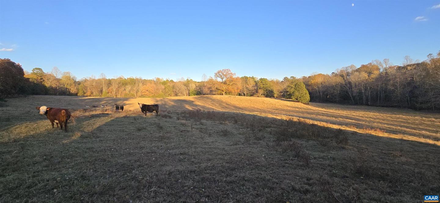 7634 SEMINOLE TRL, RUCKERSVILLE, Virginia 22968, ,Farm,For sale,7634 SEMINOLE TRL,670683 MLS # 670683 7634 SEMINOLE TRL, RUCKERSVILLE, Virginia 22968, ,Farm,For sale,7634 SEMINOLE TRL,670683 MLS # 670683