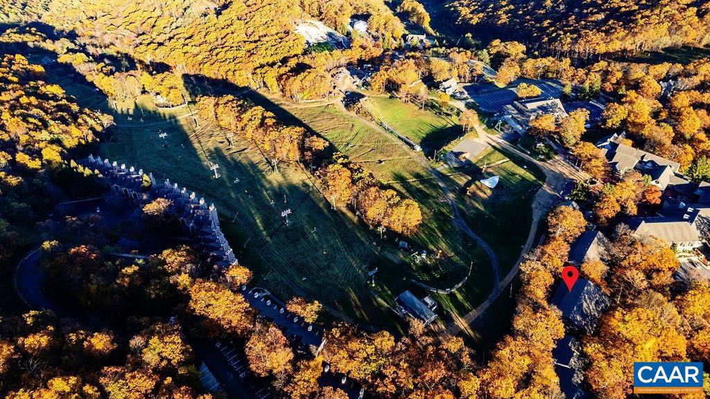 255 TIMBERS CONDOS, WINTERGREEN RESORT, Virginia 22967, 1 Bedroom Bedrooms, ,1 BathroomBathrooms,Residential,For sale,255 TIMBERS CONDOS,670319 MLS # 670319 255 TIMBERS CONDOS, WINTERGREEN RESORT, Virginia 22967, 1 Bedroom Bedrooms, ,1 BathroomBathrooms,Residential,For sale,255 TIMBERS CONDOS,670319 MLS # 670319