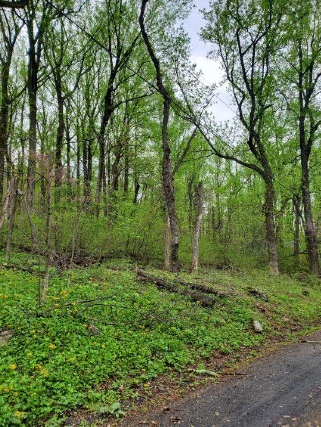 0 GAYLE LN, FRONT ROYAL, Virginia 22630, ,Land,0 GAYLE LN,670686 MLS # 670686 0 GAYLE LN, FRONT ROYAL, Virginia 22630, ,Land,0 GAYLE LN,670686 MLS # 670686