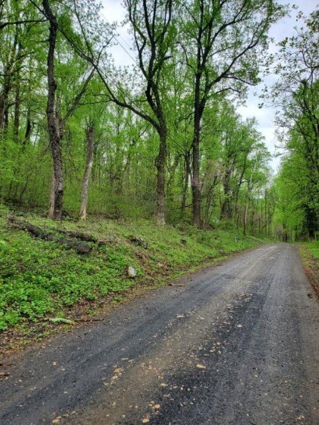 0 GAYLE LN, FRONT ROYAL, Virginia 22630, ,Land,0 GAYLE LN,670686 MLS # 670686 0 GAYLE LN, FRONT ROYAL, Virginia 22630, ,Land,0 GAYLE LN,670686 MLS # 670686