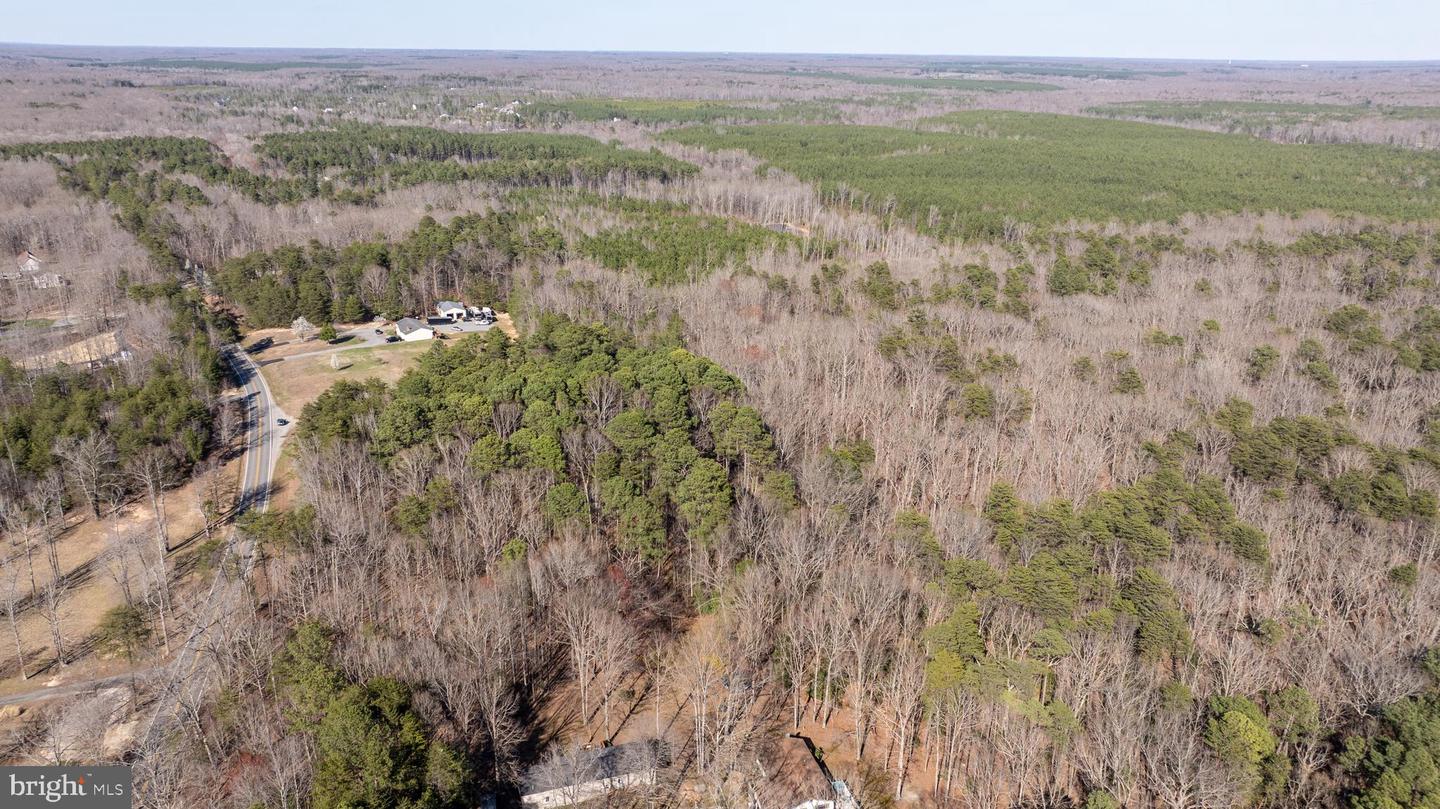 4669 PARTLOW RD, PARTLOW, Virginia 22534, ,Land,For sale,4669 PARTLOW RD,VASP2037402 MLS # VASP2037402 4669 PARTLOW RD, PARTLOW, Virginia 22534, ,Land,For sale,4669 PARTLOW RD,VASP2037402 MLS # VASP2037402