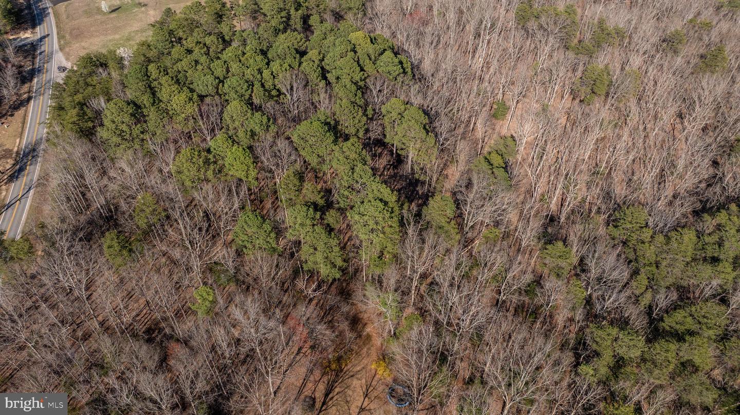 4669 PARTLOW RD, PARTLOW, Virginia 22534, ,Land,For sale,4669 PARTLOW RD,VASP2037402 MLS # VASP2037402 4669 PARTLOW RD, PARTLOW, Virginia 22534, ,Land,For sale,4669 PARTLOW RD,VASP2037402 MLS # VASP2037402