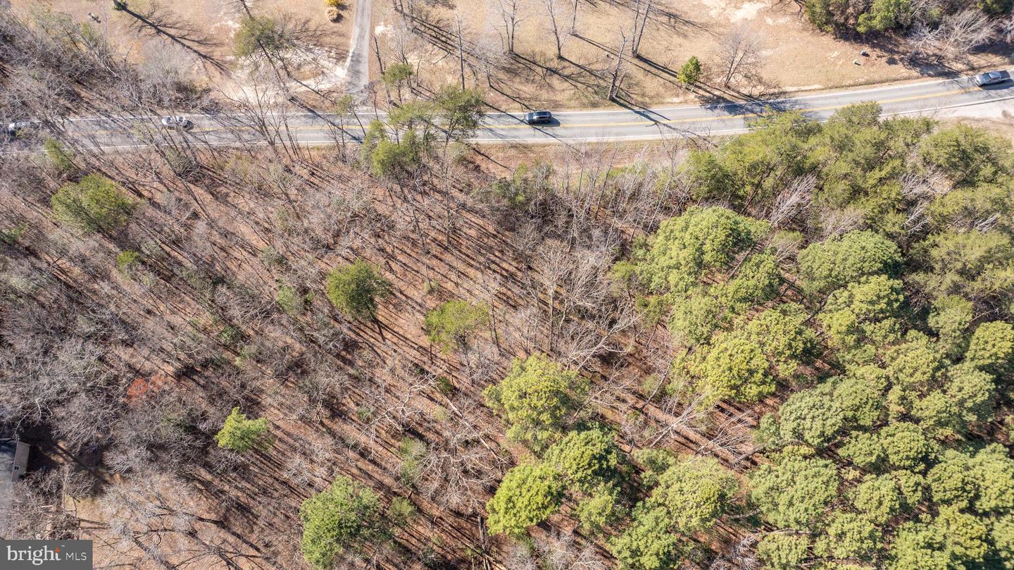 4669 PARTLOW RD, PARTLOW, Virginia 22534, ,Land,For sale,4669 PARTLOW RD,VASP2037402 MLS # VASP2037402 4669 PARTLOW RD, PARTLOW, Virginia 22534, ,Land,For sale,4669 PARTLOW RD,VASP2037402 MLS # VASP2037402