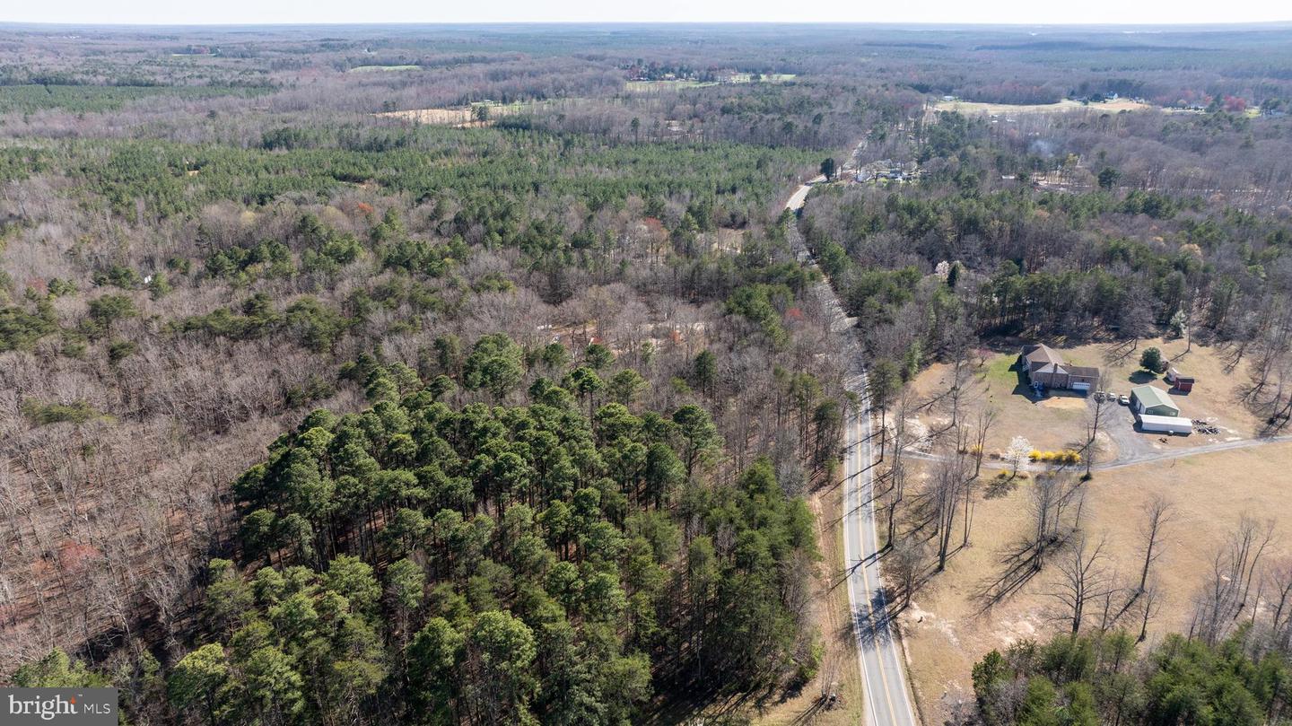 4669 PARTLOW RD, PARTLOW, Virginia 22534, ,Land,For sale,4669 PARTLOW RD,VASP2037402 MLS # VASP2037402 4669 PARTLOW RD, PARTLOW, Virginia 22534, ,Land,For sale,4669 PARTLOW RD,VASP2037402 MLS # VASP2037402