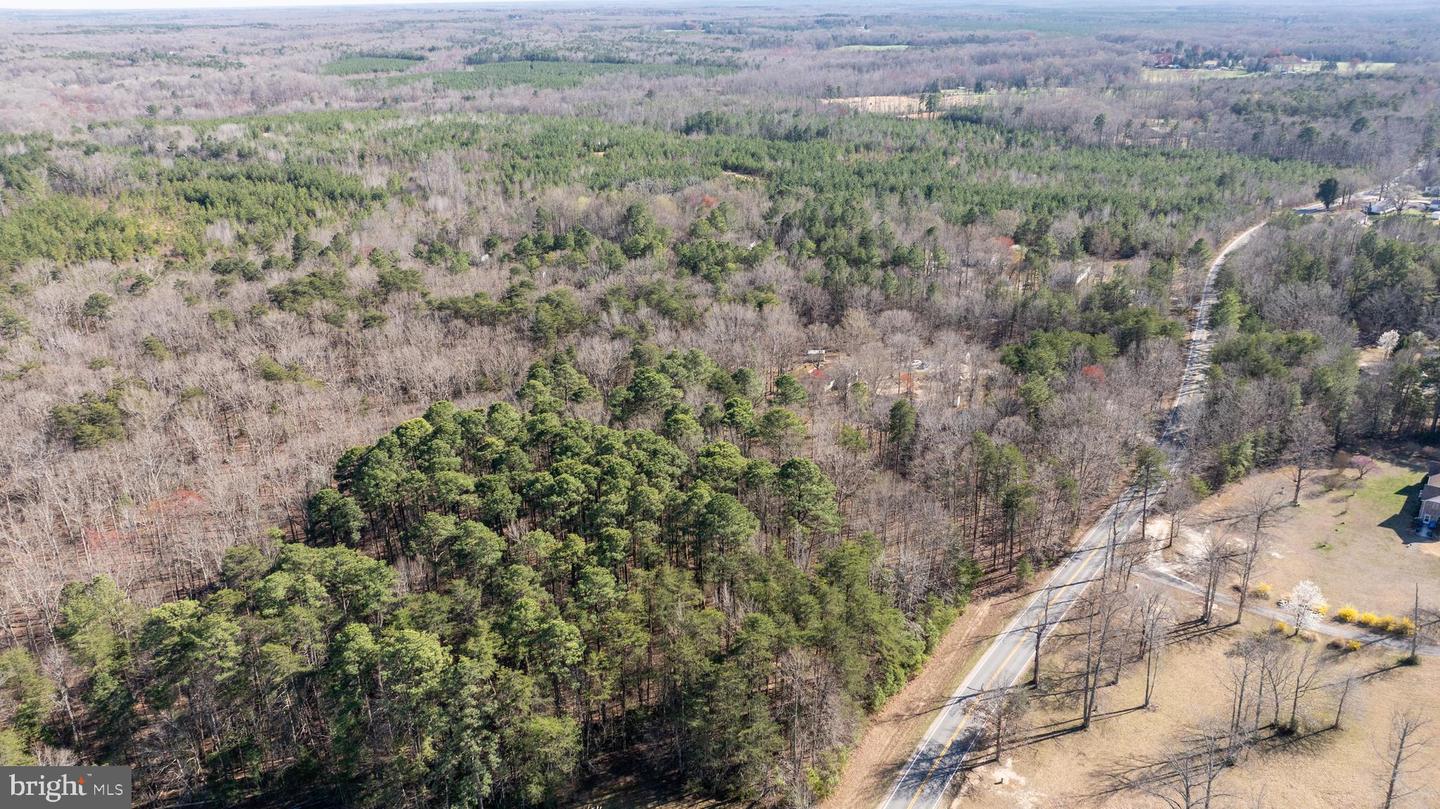4669 PARTLOW RD, PARTLOW, Virginia 22534, ,Land,For sale,4669 PARTLOW RD,VASP2037402 MLS # VASP2037402 4669 PARTLOW RD, PARTLOW, Virginia 22534, ,Land,For sale,4669 PARTLOW RD,VASP2037402 MLS # VASP2037402