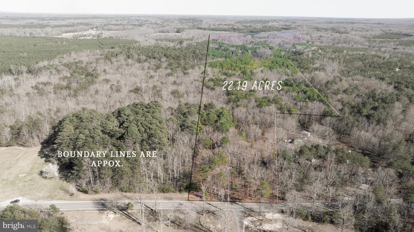 4669 PARTLOW RD, PARTLOW, Virginia 22534, ,Land,For sale,4669 PARTLOW RD,VASP2037402 MLS # VASP2037402 4669 PARTLOW RD, PARTLOW, Virginia 22534, ,Land,For sale,4669 PARTLOW RD,VASP2037402 MLS # VASP2037402