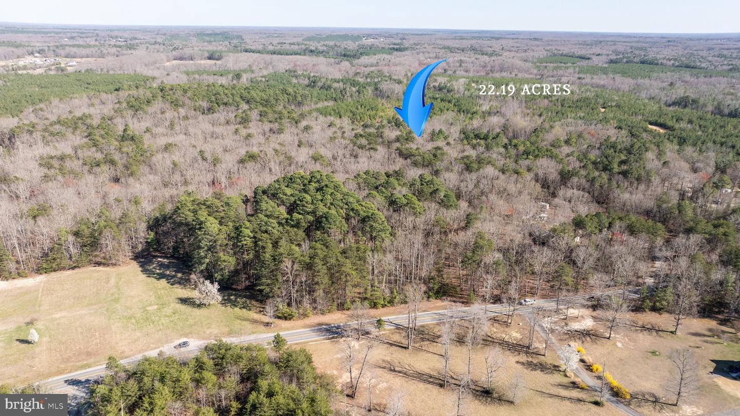 4669 PARTLOW RD, PARTLOW, Virginia 22534, ,Land,For sale,4669 PARTLOW RD,VASP2037402 MLS # VASP2037402 4669 PARTLOW RD, PARTLOW, Virginia 22534, ,Land,For sale,4669 PARTLOW RD,VASP2037402 MLS # VASP2037402