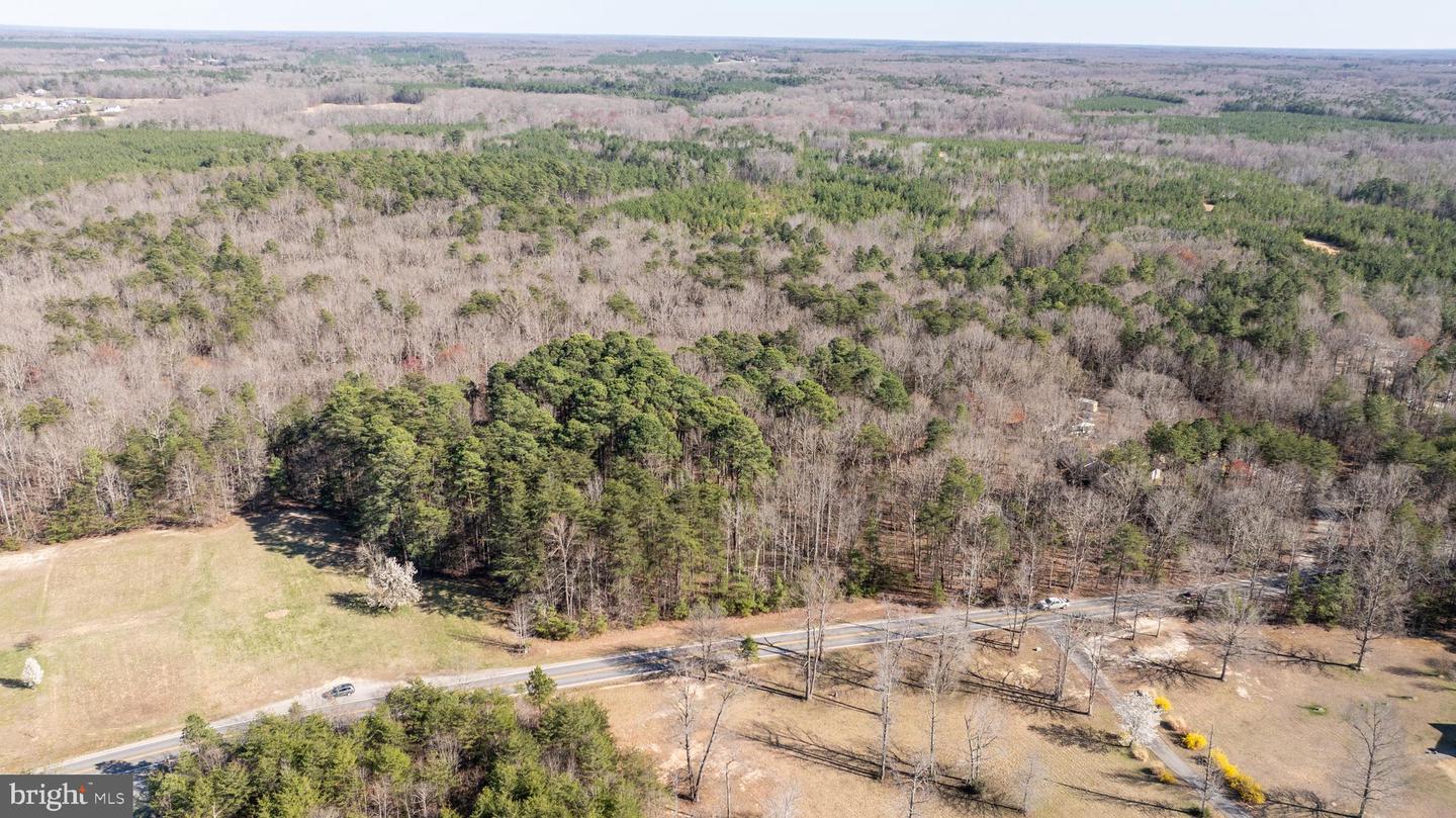 4669 PARTLOW RD, PARTLOW, Virginia 22534, ,Land,For sale,4669 PARTLOW RD,VASP2037402 MLS # VASP2037402 4669 PARTLOW RD, PARTLOW, Virginia 22534, ,Land,For sale,4669 PARTLOW RD,VASP2037402 MLS # VASP2037402