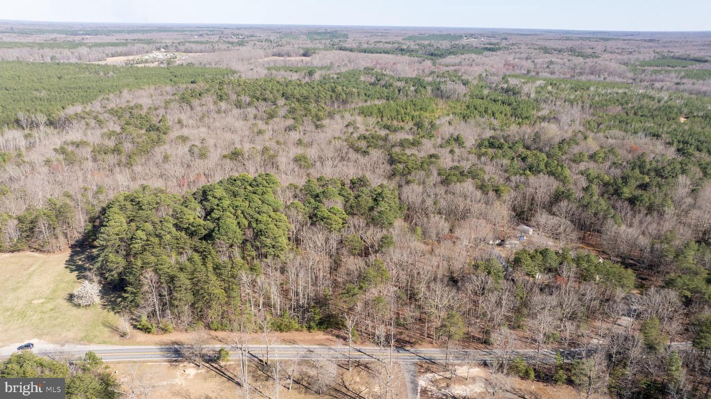 4669 PARTLOW RD, PARTLOW, Virginia 22534, ,Land,For sale,4669 PARTLOW RD,VASP2037402 MLS # VASP2037402 4669 PARTLOW RD, PARTLOW, Virginia 22534, ,Land,For sale,4669 PARTLOW RD,VASP2037402 MLS # VASP2037402