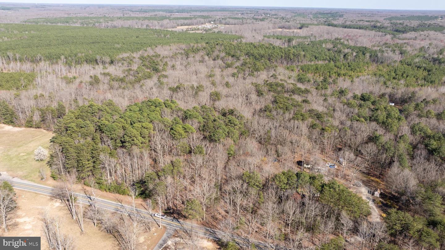 4669 PARTLOW RD, PARTLOW, Virginia 22534, ,Land,For sale,4669 PARTLOW RD,VASP2037402 MLS # VASP2037402 4669 PARTLOW RD, PARTLOW, Virginia 22534, ,Land,For sale,4669 PARTLOW RD,VASP2037402 MLS # VASP2037402
