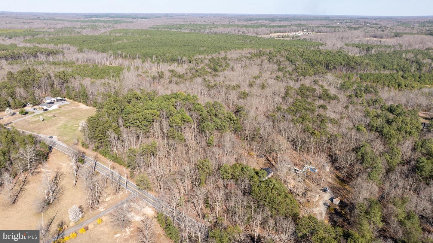 4669 PARTLOW RD, PARTLOW, Virginia 22534, ,Land,For sale,4669 PARTLOW RD,VASP2037402 MLS # VASP2037402 4669 PARTLOW RD, PARTLOW, Virginia 22534, ,Land,For sale,4669 PARTLOW RD,VASP2037402 MLS # VASP2037402