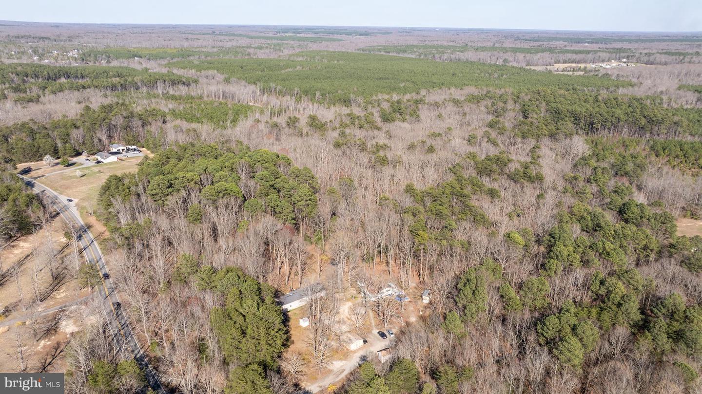4669 PARTLOW RD, PARTLOW, Virginia 22534, ,Land,For sale,4669 PARTLOW RD,VASP2037402 MLS # VASP2037402 4669 PARTLOW RD, PARTLOW, Virginia 22534, ,Land,For sale,4669 PARTLOW RD,VASP2037402 MLS # VASP2037402
