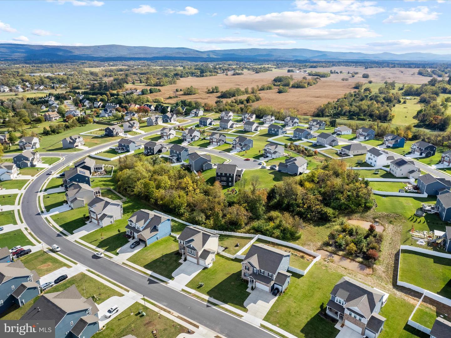 417 NORRIS ST, BERRYVILLE, Virginia 22611, 5 Bedrooms Bedrooms, ,4 BathroomsBathrooms,Residential,For sale,417 NORRIS ST,VACL2006176 MLS # VACL2006176