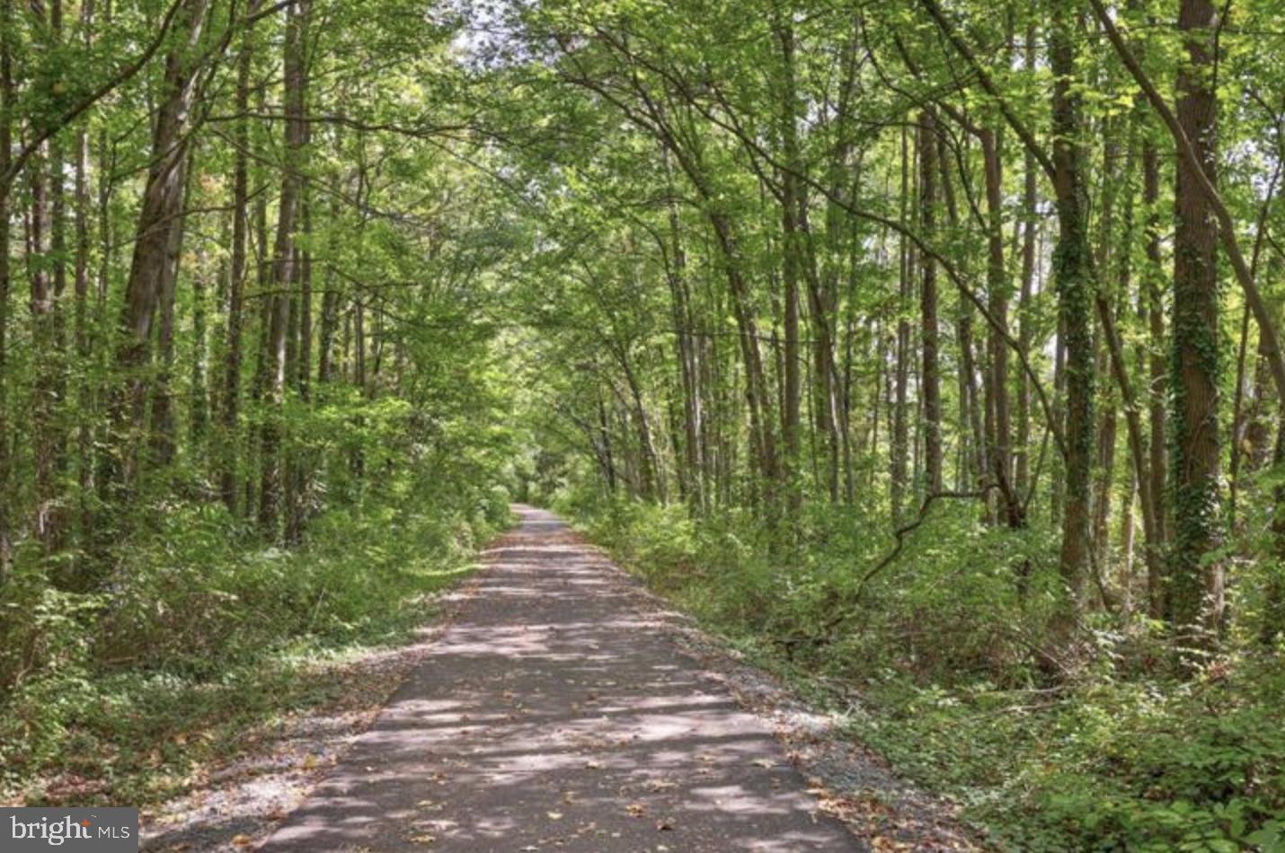 4207 SCOTLAND RD, ALEXANDRIA, Virginia 22309, 5 Bedrooms Bedrooms, ,3 BathroomsBathrooms,Residential,For sale,4207 SCOTLAND RD,VAFX2276090 MLS # VAFX2276090