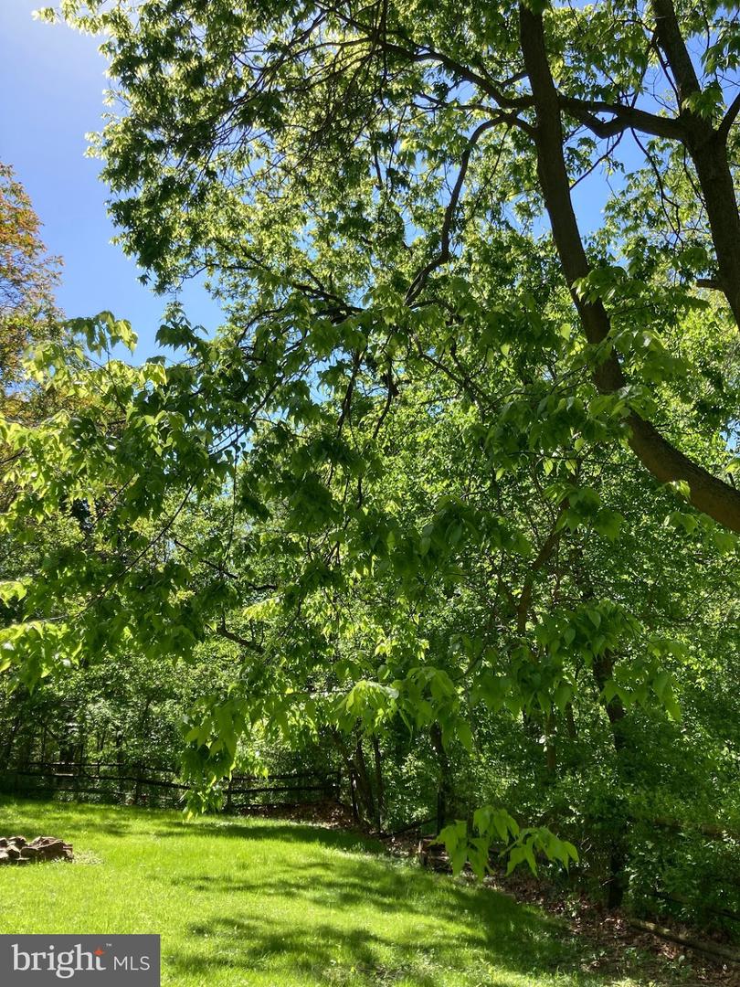 33563 SNICKERSVILLE TPKE, BLUEMONT, Virginia 20135, 3 Bedrooms Bedrooms, ,1 BathroomBathrooms,Residential,For sale,33563 SNICKERSVILLE TPKE,VALO2110424 MLS # VALO2110424