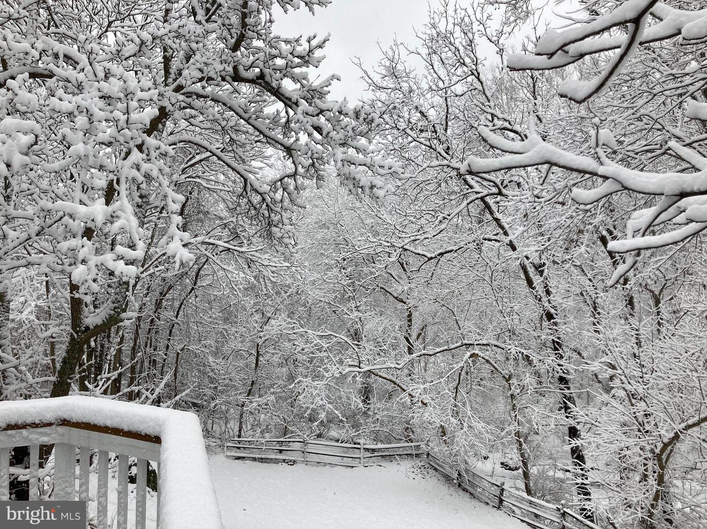 33563 SNICKERSVILLE TPKE, BLUEMONT, Virginia 20135, 3 Bedrooms Bedrooms, ,1 BathroomBathrooms,Residential,For sale,33563 SNICKERSVILLE TPKE,VALO2110424 MLS # VALO2110424