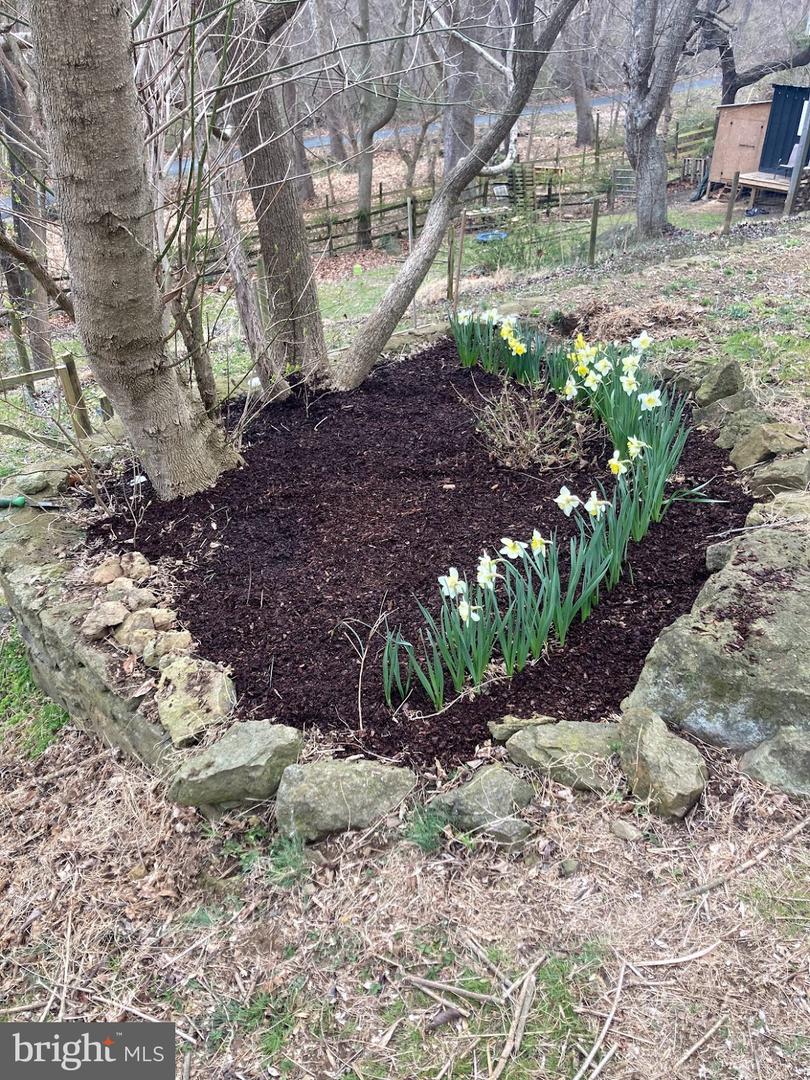 33563 SNICKERSVILLE TPKE, BLUEMONT, Virginia 20135, 3 Bedrooms Bedrooms, ,1 BathroomBathrooms,Residential,For sale,33563 SNICKERSVILLE TPKE,VALO2110424 MLS # VALO2110424