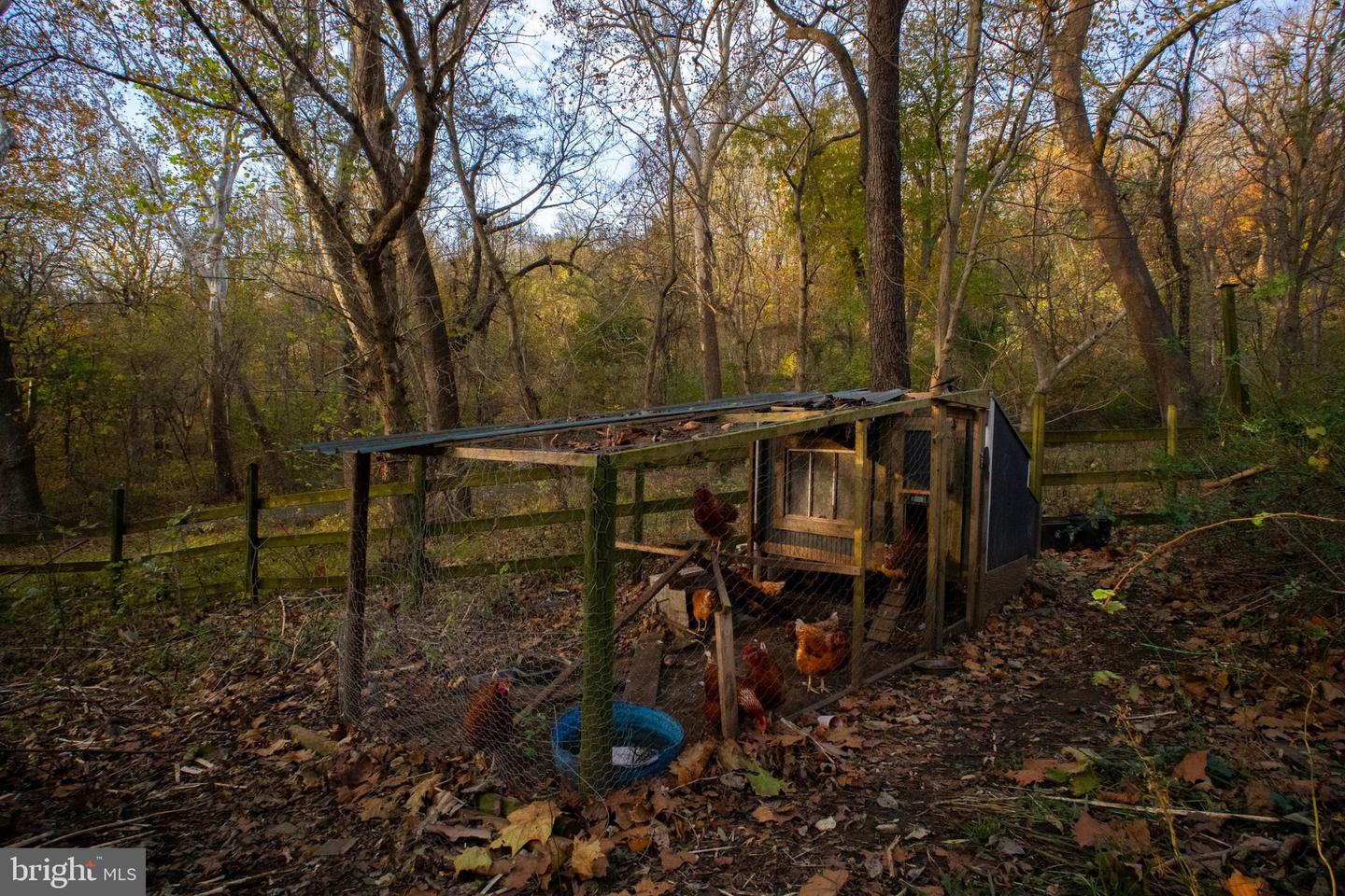 33563 SNICKERSVILLE TPKE, BLUEMONT, Virginia 20135, 3 Bedrooms Bedrooms, ,1 BathroomBathrooms,Residential,For sale,33563 SNICKERSVILLE TPKE,VALO2110424 MLS # VALO2110424