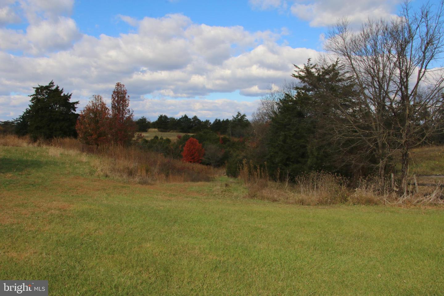 499 E LEE HWY, NEW MARKET, Virginia 22844, 3 Bedrooms Bedrooms, ,2 BathroomsBathrooms,Farm,For sale,499 E LEE HWY,VASH2012864 MLS # VASH2012864