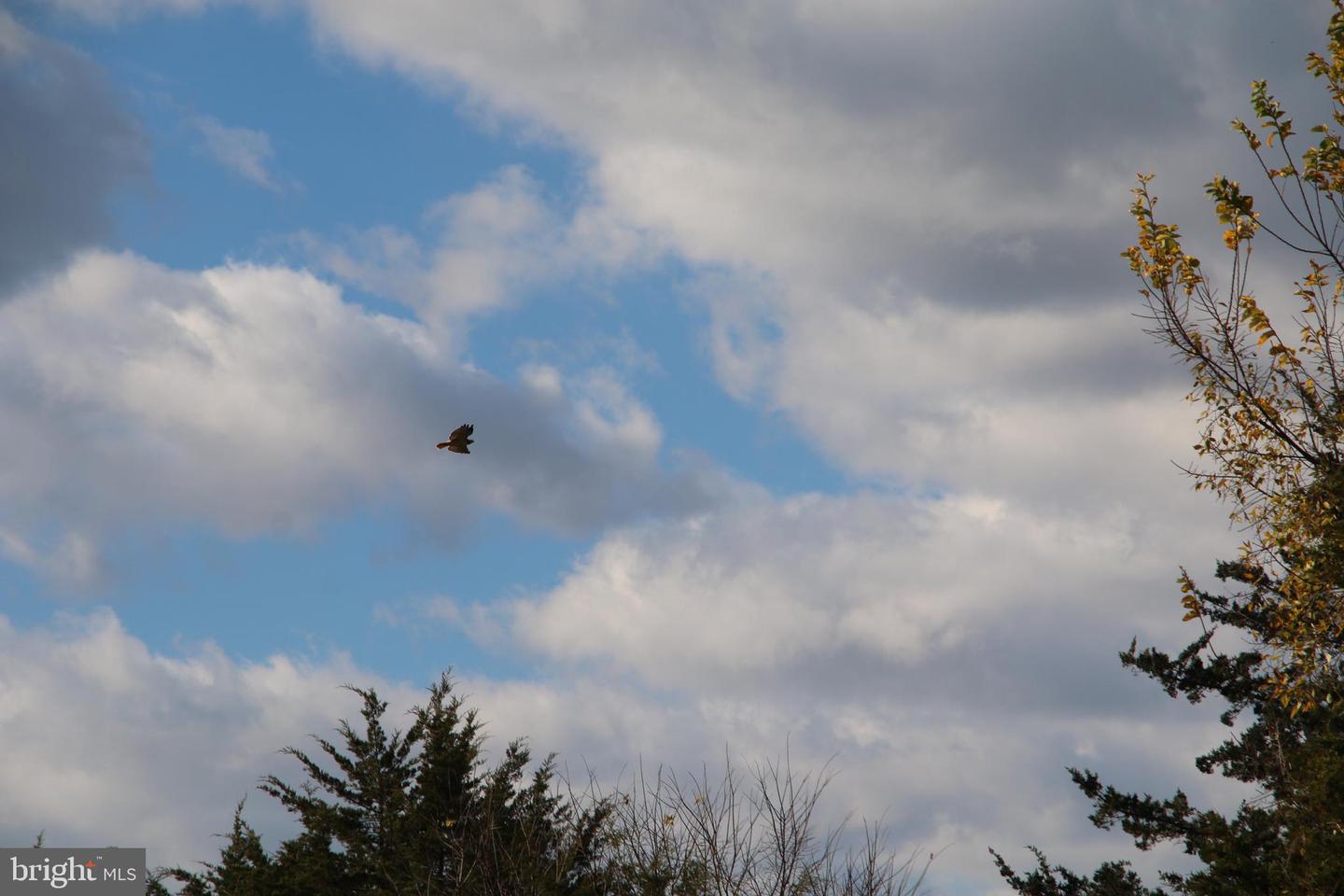 499 E LEE HWY, NEW MARKET, Virginia 22844, 3 Bedrooms Bedrooms, ,2 BathroomsBathrooms,Farm,For sale,499 E LEE HWY,VASH2012864 MLS # VASH2012864