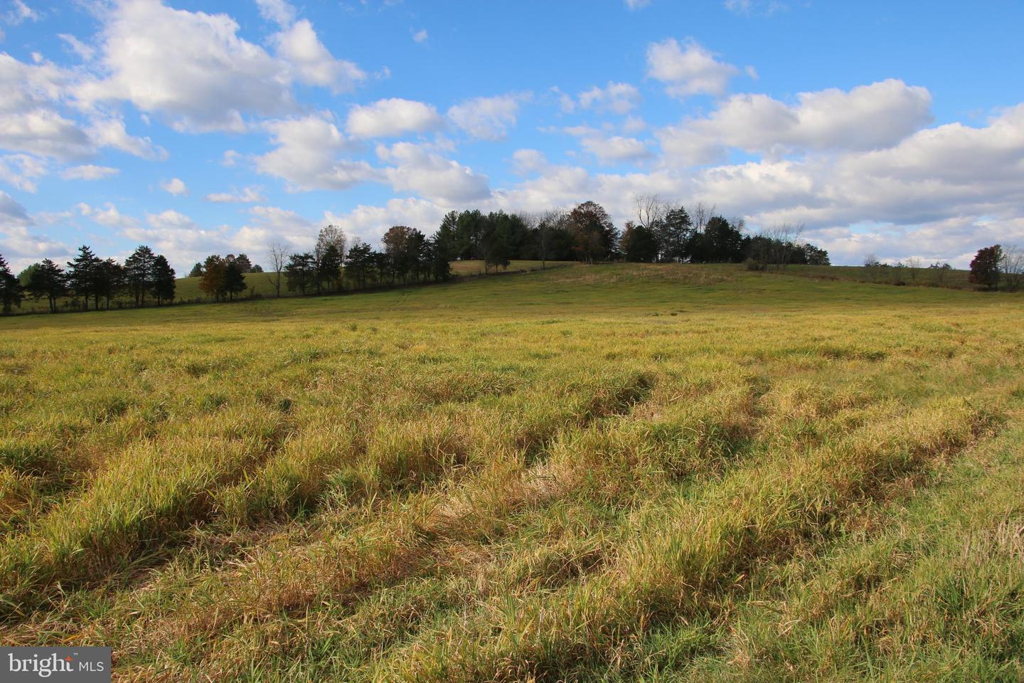 499 E LEE HWY, NEW MARKET, Virginia 22844, 3 Bedrooms Bedrooms, ,2 BathroomsBathrooms,Farm,For sale,499 E LEE HWY,VASH2012864 MLS # VASH2012864