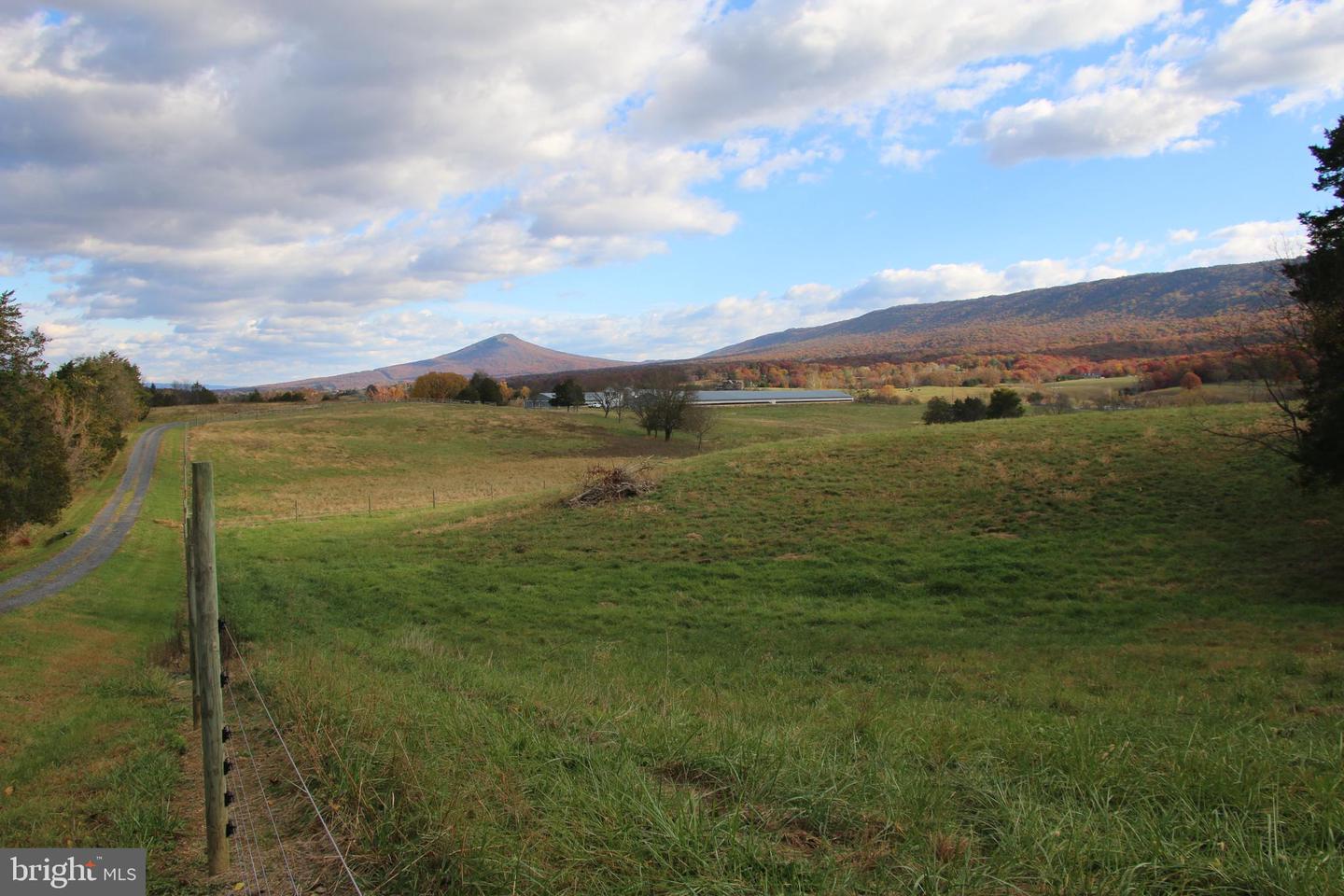 499 E LEE HWY, NEW MARKET, Virginia 22844, 3 Bedrooms Bedrooms, ,2 BathroomsBathrooms,Farm,For sale,499 E LEE HWY,VASH2012864 MLS # VASH2012864