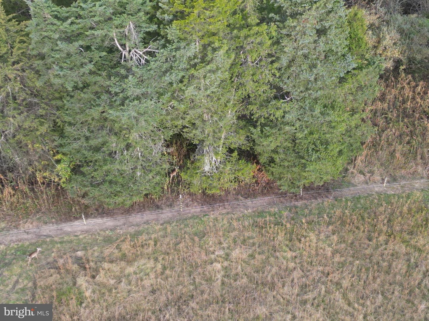 499 E LEE HWY, NEW MARKET, Virginia 22844, 3 Bedrooms Bedrooms, ,2 BathroomsBathrooms,Farm,For sale,499 E LEE HWY,VASH2012864 MLS # VASH2012864