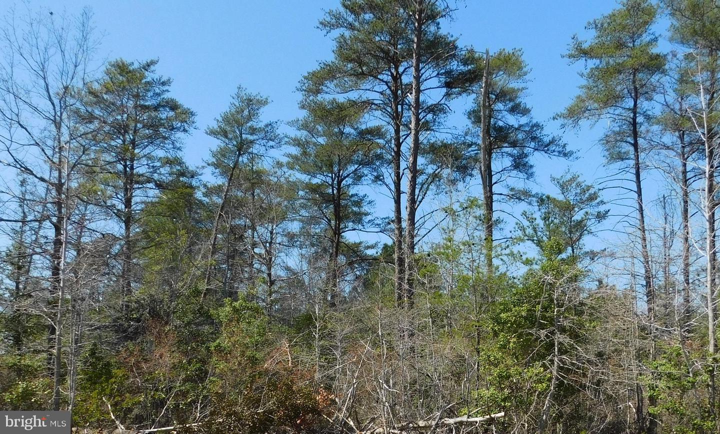 35-81 STONEY KNOLL RD, KING GEORGE, Virginia 22485, ,Land,For sale,35-81 STONEY KNOLL RD,VAKG2003288 MLS # VAKG2003288 35-81 STONEY KNOLL RD, KING GEORGE, Virginia 22485, ,Land,For sale,35-81 STONEY KNOLL RD,VAKG2003288 MLS # VAKG2003288