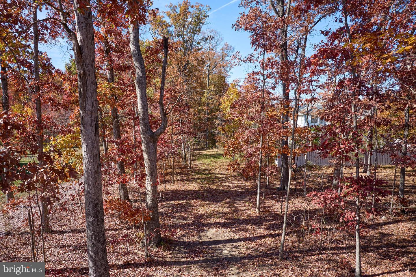 5726 WALCOTT AVE, FAIRFAX, Virginia 22030, ,Land,For sale,5726 WALCOTT AVE,VAFX2208876 MLS # VAFX2208876 5726 WALCOTT AVE, FAIRFAX, Virginia 22030, ,Land,For sale,5726 WALCOTT AVE,VAFX2208876 MLS # VAFX2208876