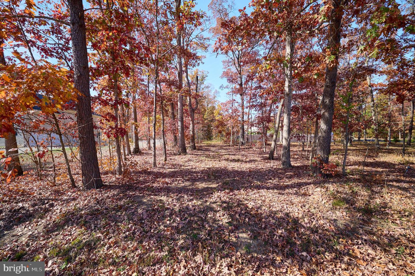 5726 WALCOTT AVE, FAIRFAX, Virginia 22030, ,Land,For sale,5726 WALCOTT AVE,VAFX2208876 MLS # VAFX2208876 5726 WALCOTT AVE, FAIRFAX, Virginia 22030, ,Land,For sale,5726 WALCOTT AVE,VAFX2208876 MLS # VAFX2208876