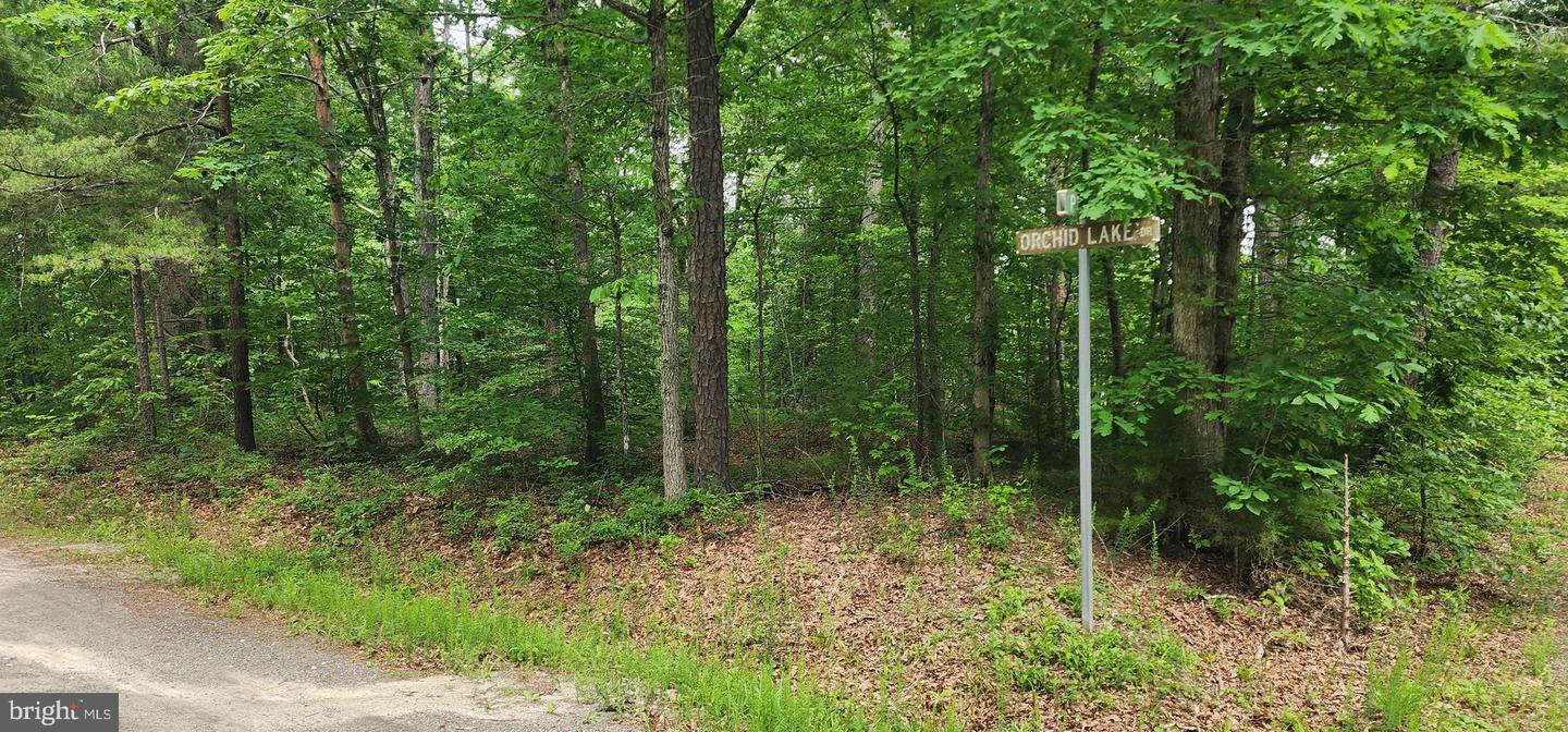 G2 ORCHID LAKE DR, GUM SPRING, Virginia 23065, ,Land,For sale,G2 ORCHID LAKE DR,VALA2008838 MLS # VALA2008838 G2 ORCHID LAKE DR, GUM SPRING, Virginia 23065, ,Land,For sale,G2 ORCHID LAKE DR,VALA2008838 MLS # VALA2008838