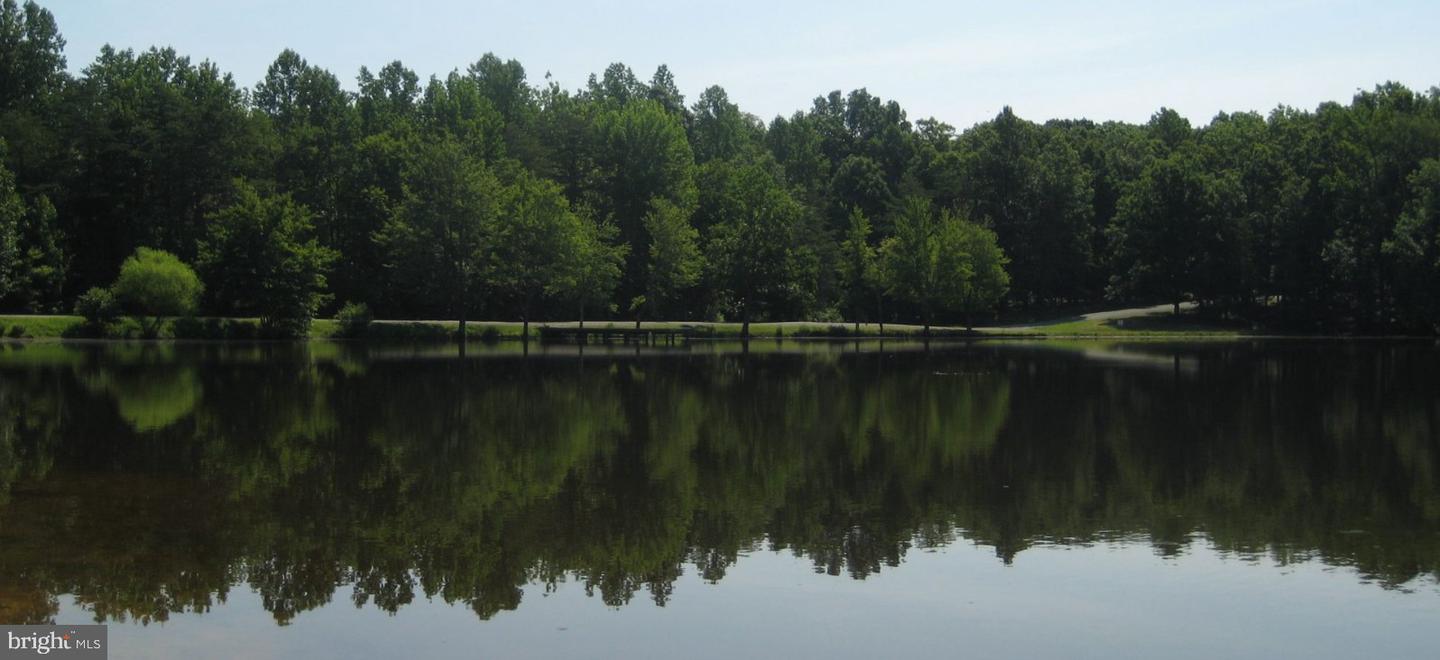 G2 ORCHID LAKE DR, GUM SPRING, Virginia 23065, ,Land,For sale,G2 ORCHID LAKE DR,VALA2008838 MLS # VALA2008838 G2 ORCHID LAKE DR, GUM SPRING, Virginia 23065, ,Land,For sale,G2 ORCHID LAKE DR,VALA2008838 MLS # VALA2008838